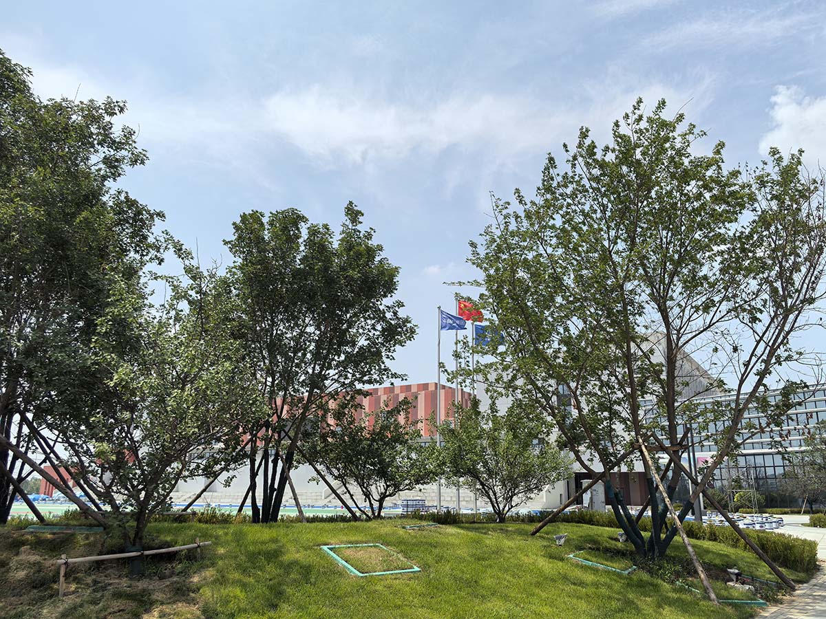 沈阳浑南区育才学校